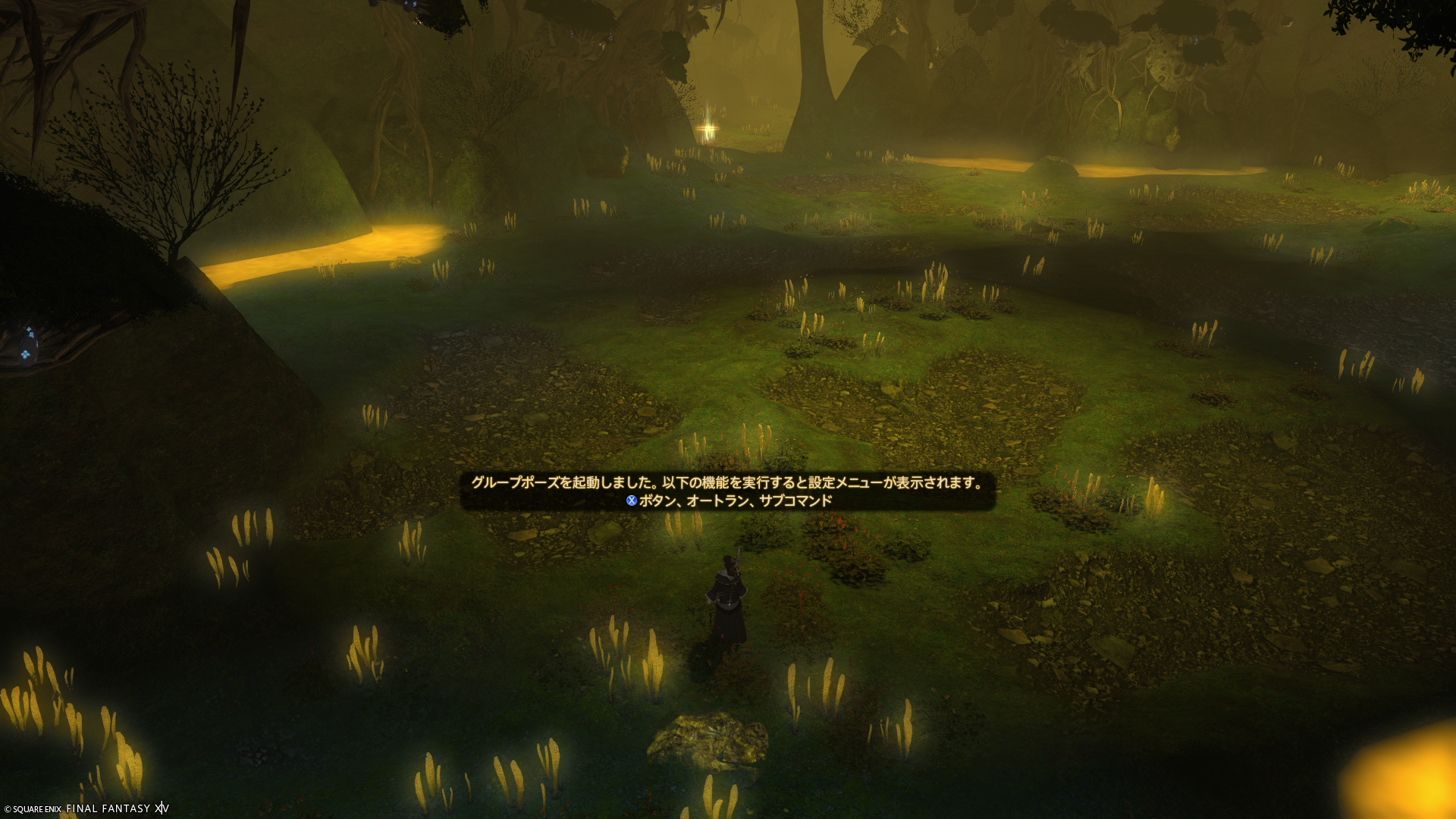 Auto-generated description: 薄暗い森の中に立つキャラクターと光る草が並んでいる風景です。
