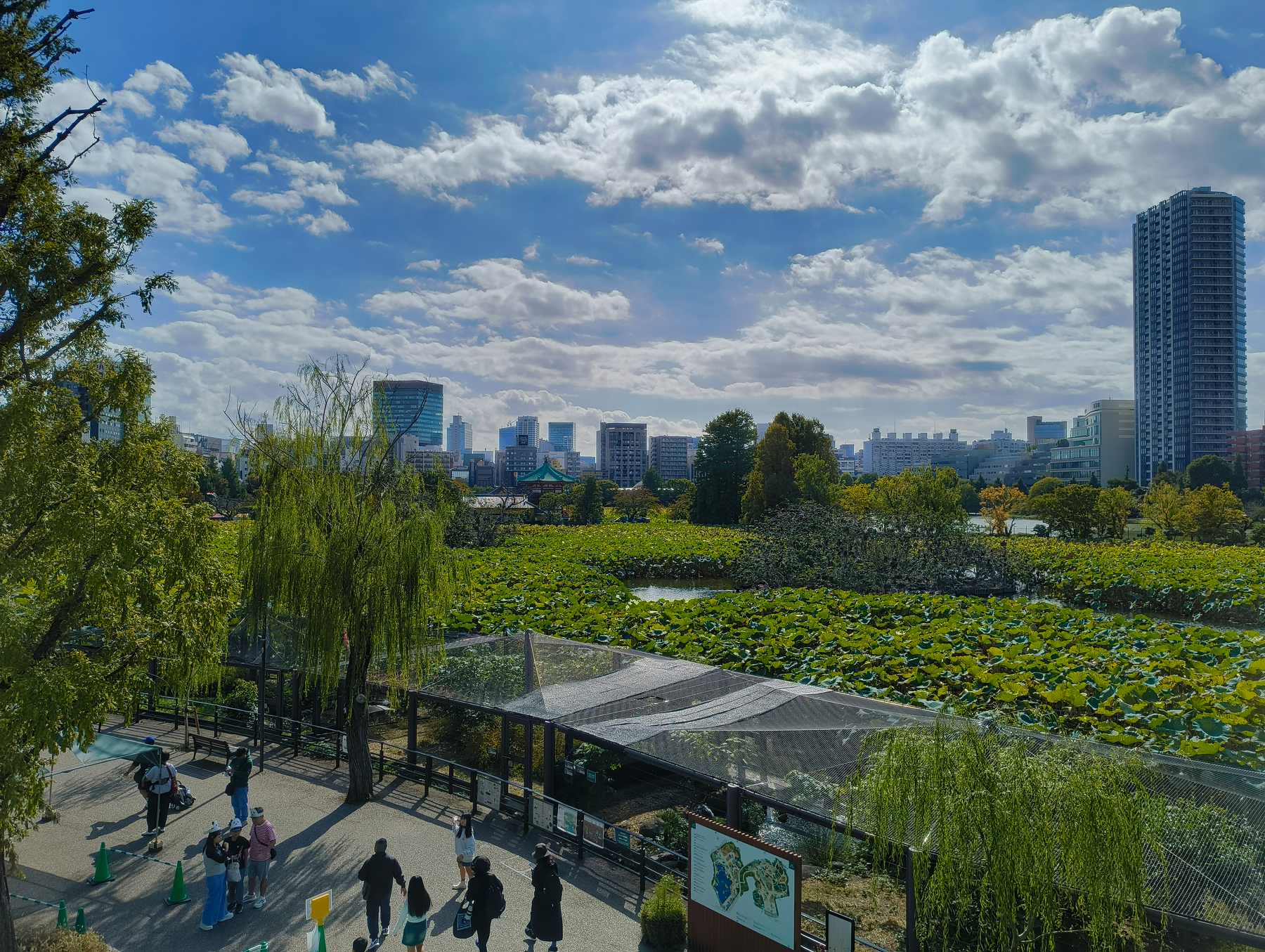 Auto-generated description: 都会のビル群を背景に、青空の下で木々と池が広がる公園の風景が広がっています。