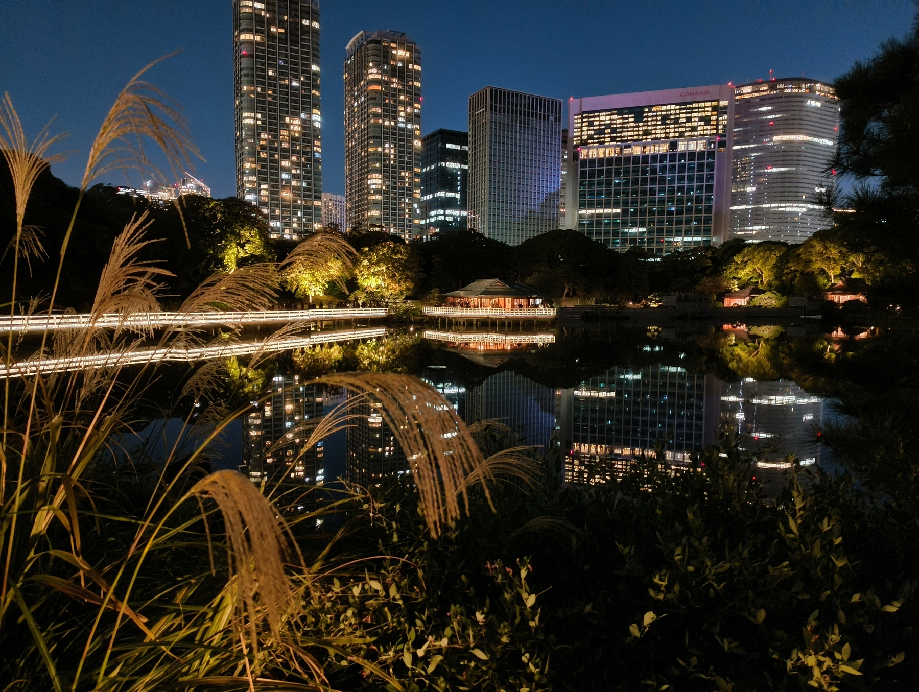 Auto-generated description: 都会の夜景を背景に、静かな池がライトアップされている庭園の風景です。