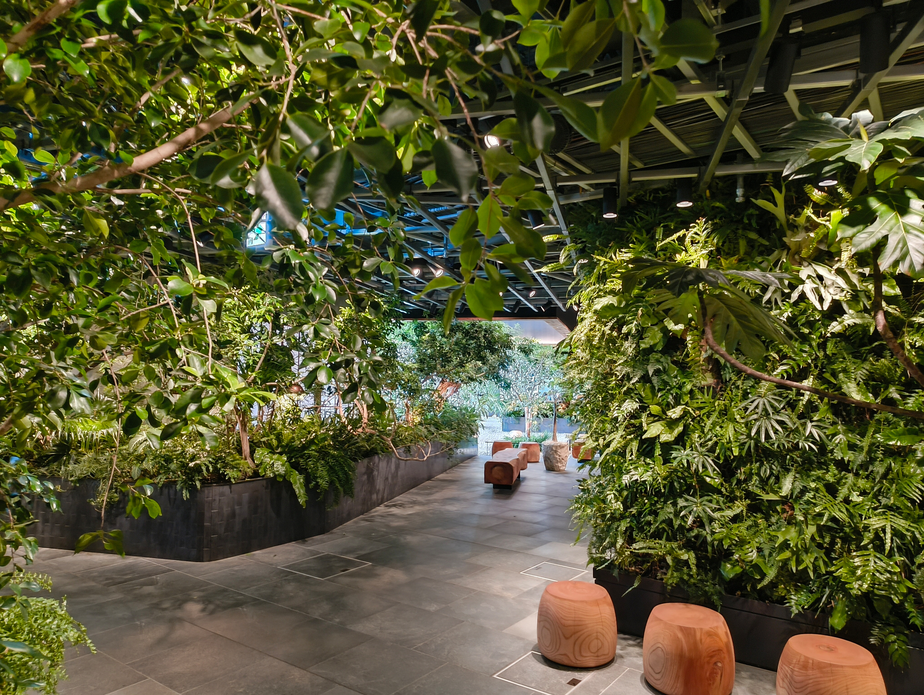 Auto-generated description: 木々や緑に囲まれた屋内スペースに、丸い木製の椅子が置かれています。