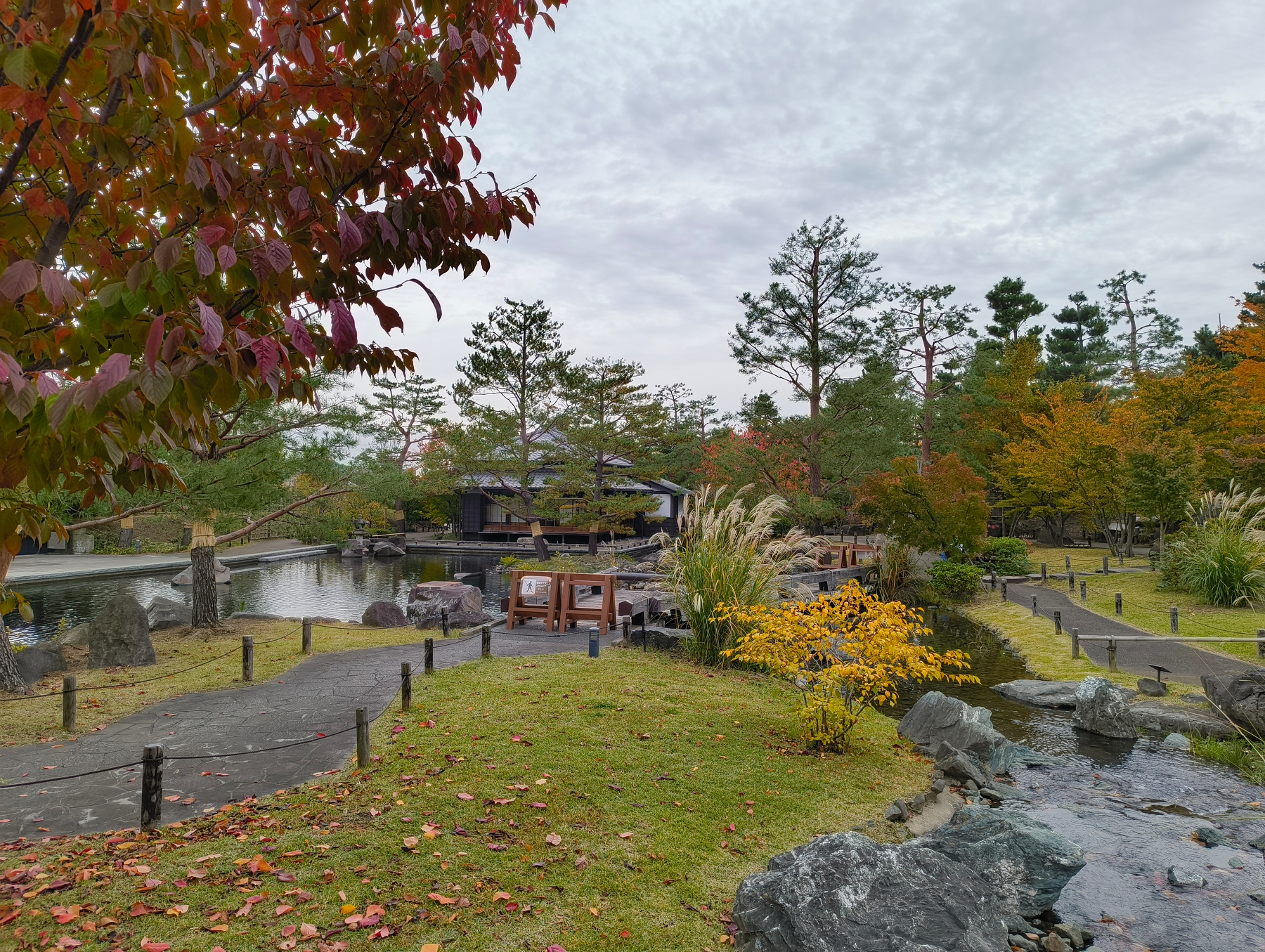 Auto-generated description: 日本庭園には、色づいた木々と池があり、静かな風景が広がっています。