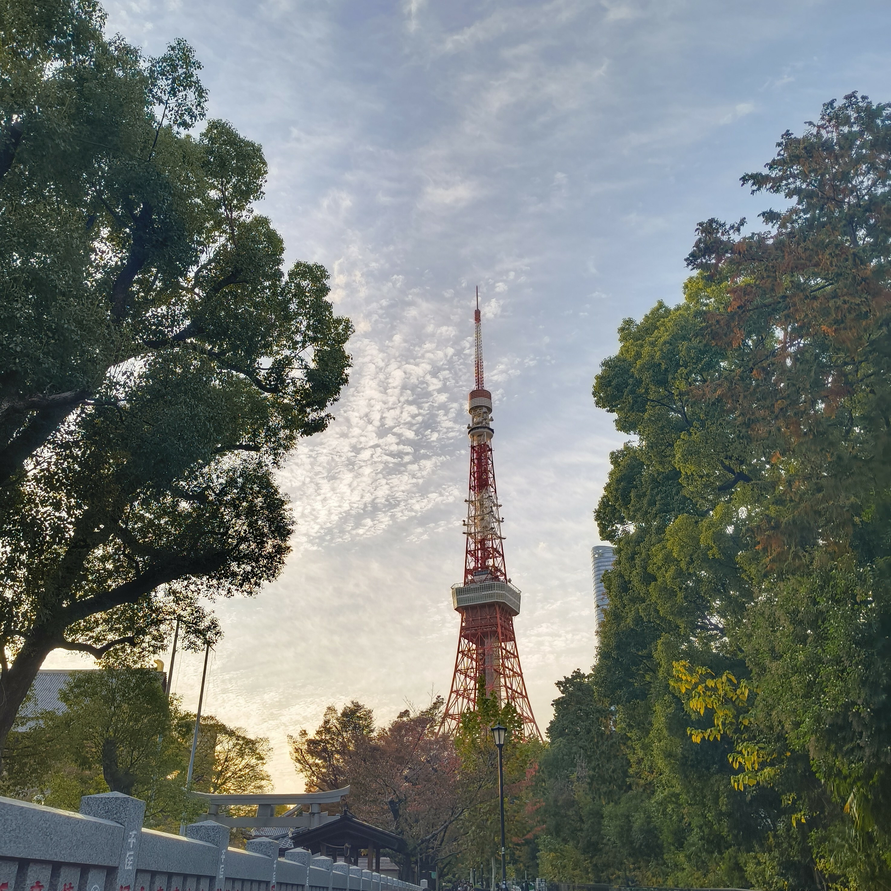Auto-generated description: 東京タワーが木々の間から見える景色。