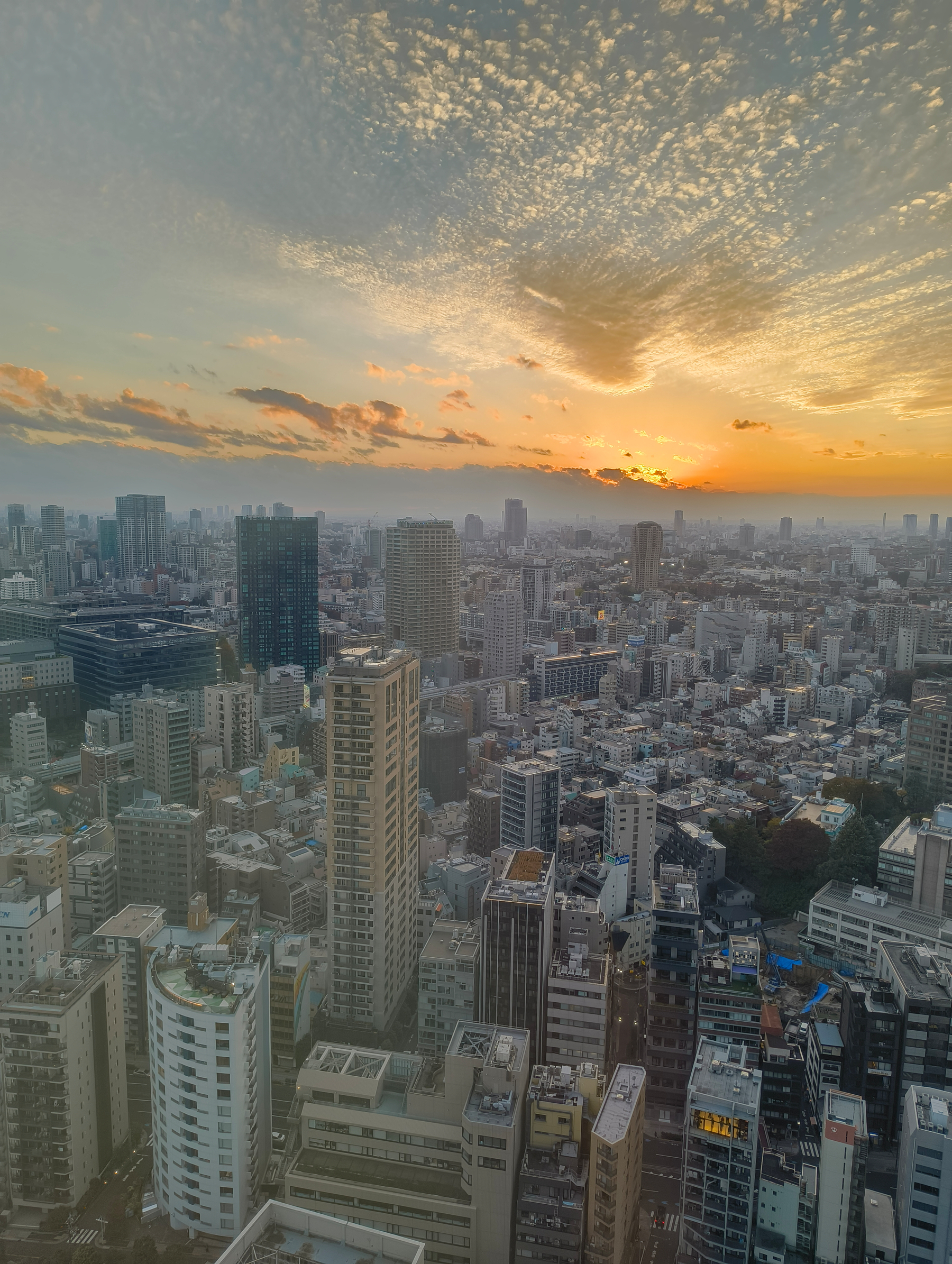 Auto-generated description: 夕焼けが映える都市の高層ビル群の風景。
