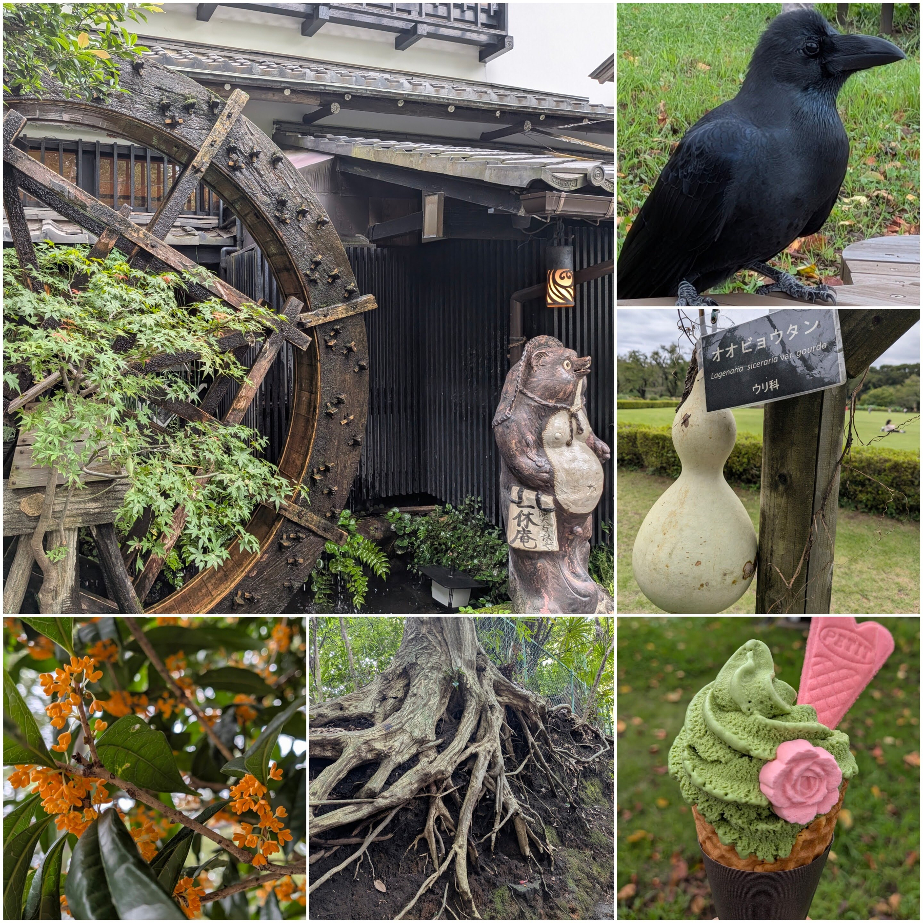 Auto-generated description: 伝統的な日本の水車と狸の像、カラス、植物、そして抹茶アイスクリームが一緒に写っている。