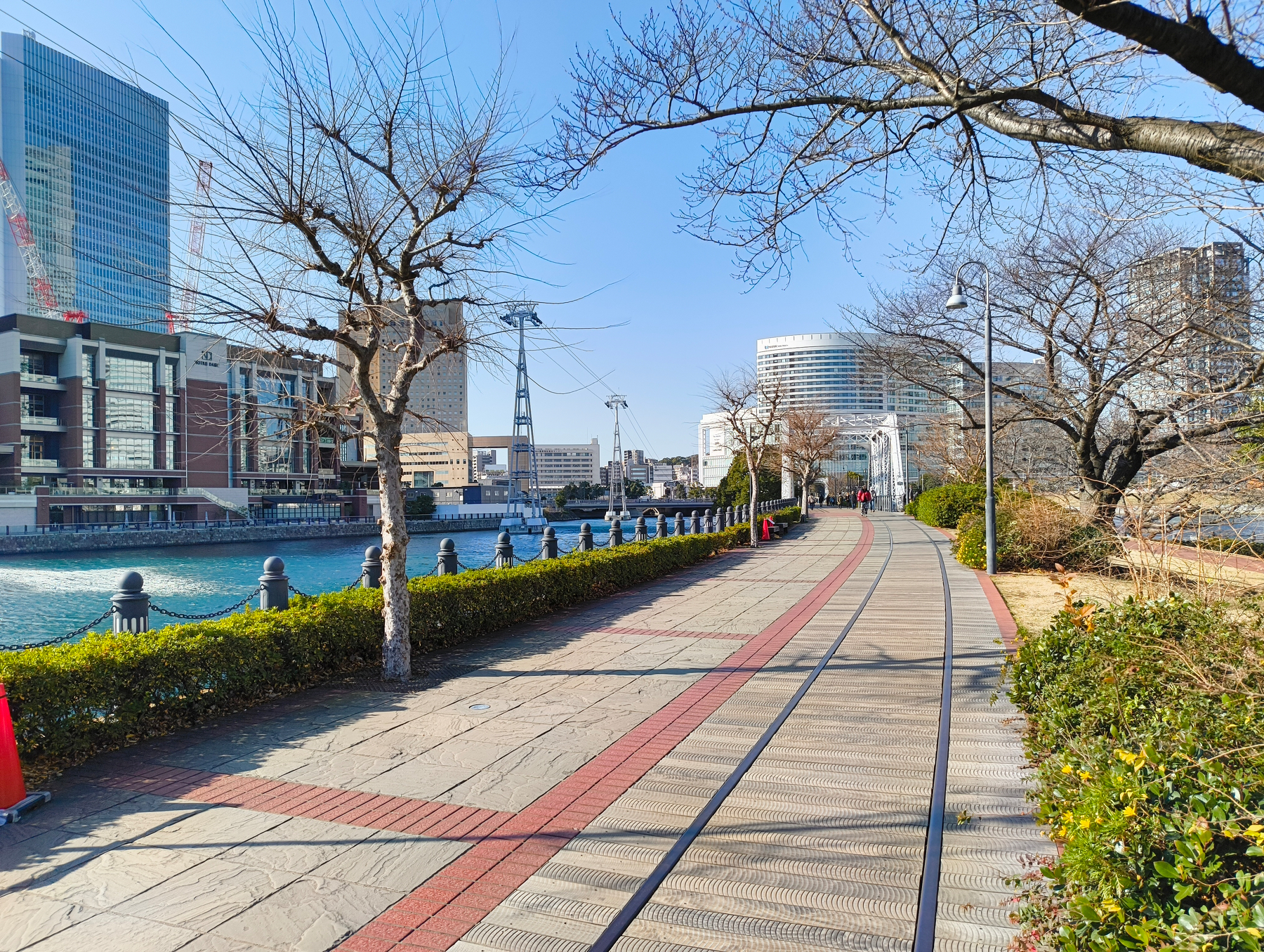 Auto-generated description: 晴天の下、川沿いの遊歩道に並ぶ桜の木々と近代的な建物が立ち並んでいる風景です。